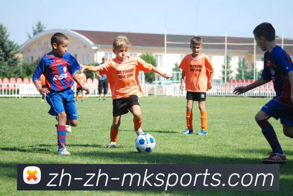 MK体育APP 高清赛事图